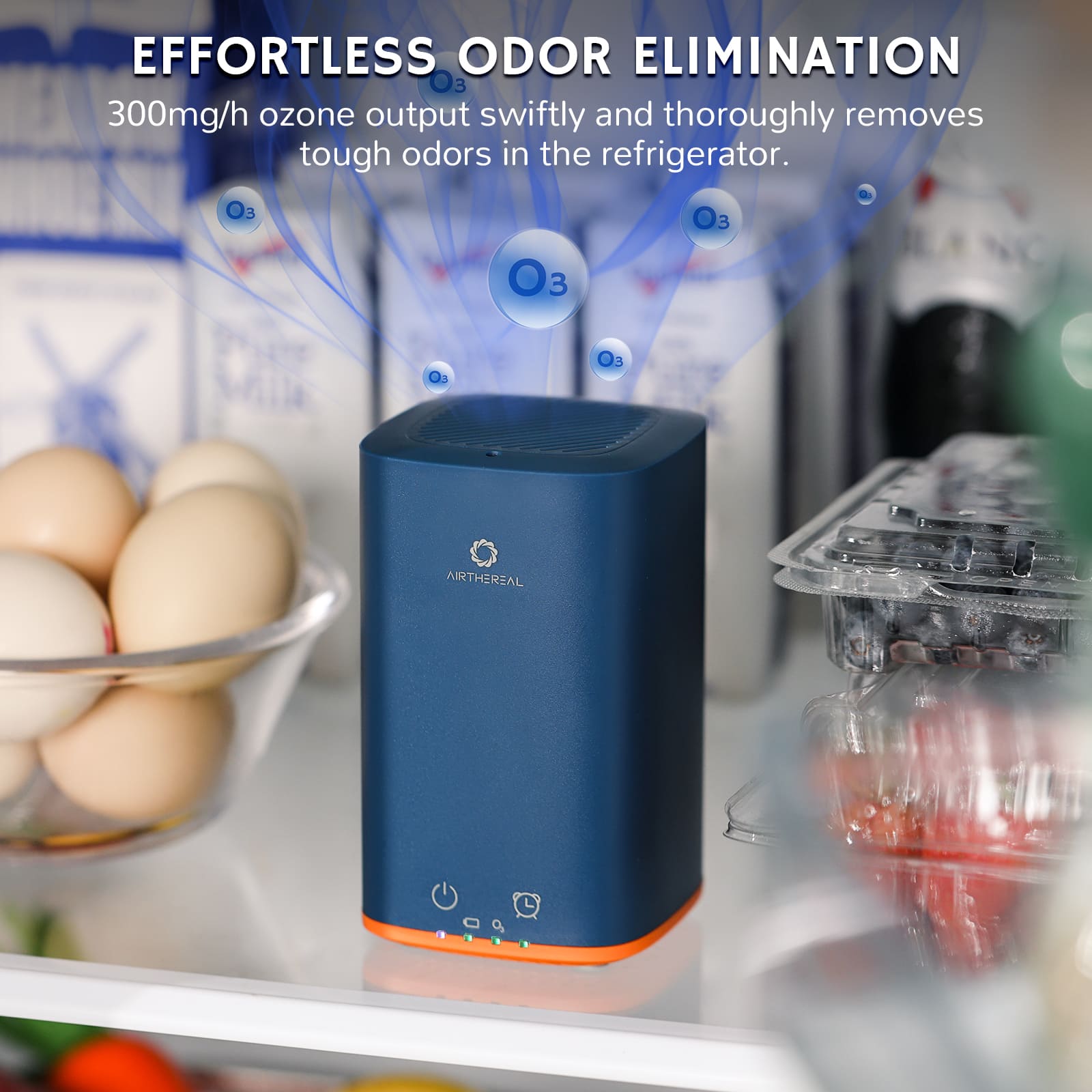 PA300-GO Portable Ozone Generator – Bloom & Sprout